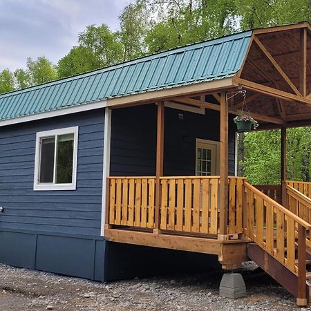 Lucky Guesthouse Trapper Creek Eksteriør billede