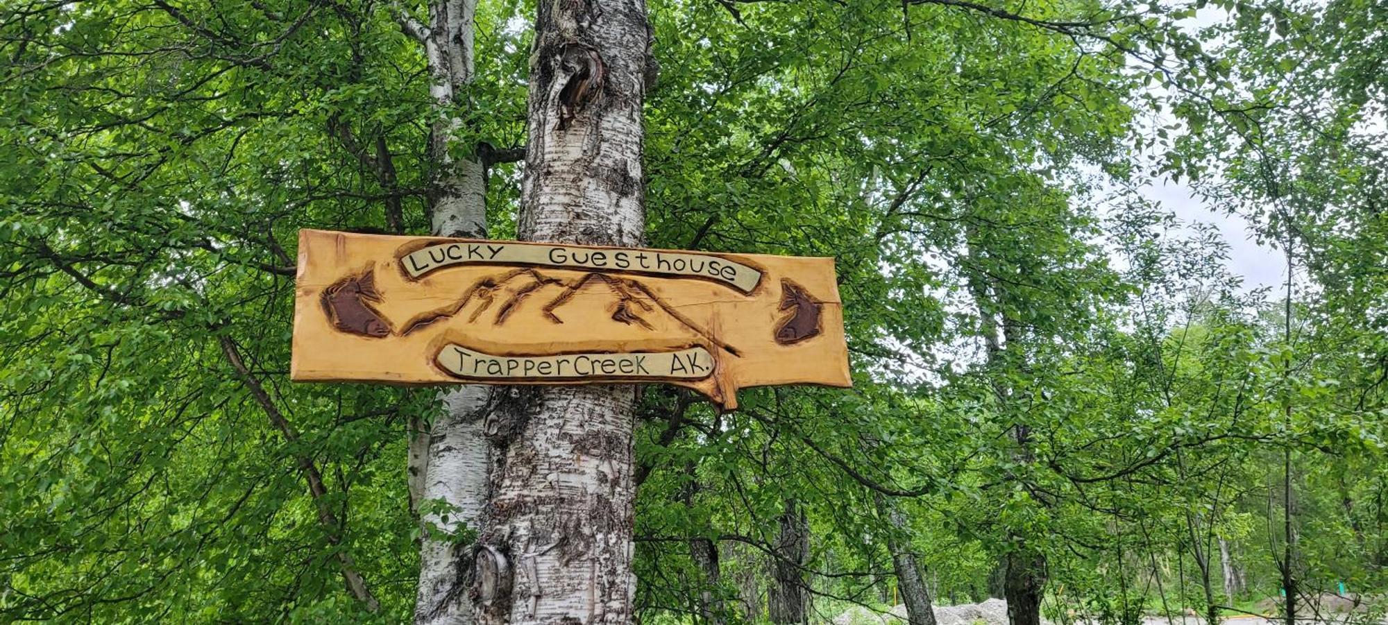 Lucky Guesthouse Trapper Creek Eksteriør billede